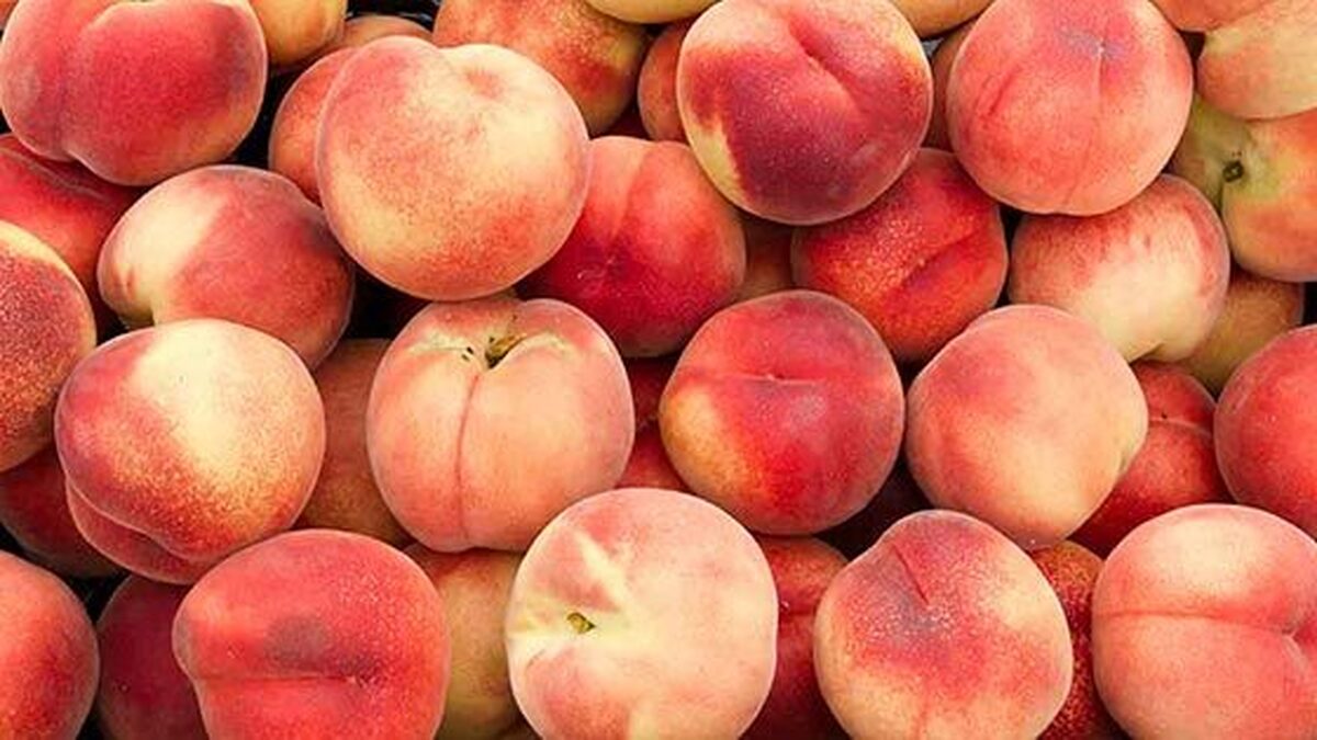 ۴ خاصیت هلو برای سلامتی بدن و ارزش غذایی این میوه پرطرفدار