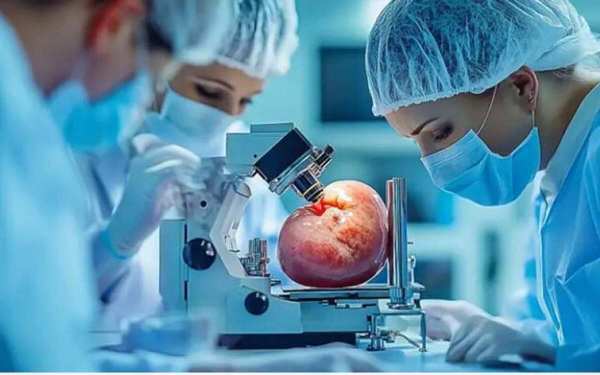 کلیه مهندسی ژنتیک شده خوک با موفقیت برای یک فرد عمل میکند!