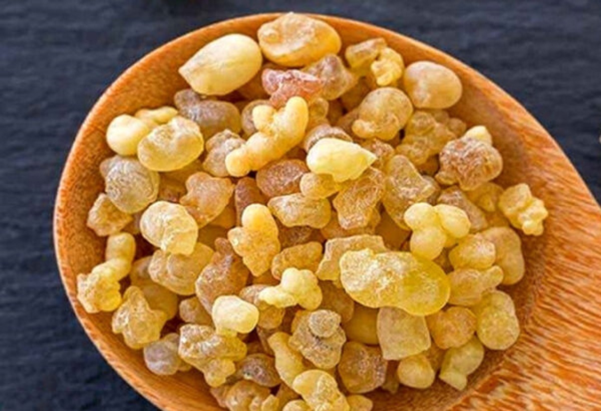از خواص شفابخش سقز غافل نشوید!