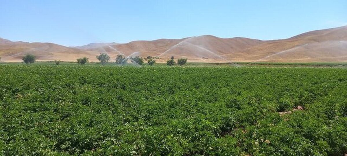 تجهیز ۷۲ هزار هکتار از اراضی چهارمحال و بختیاری به سامانه‌های نوین آبیاری
