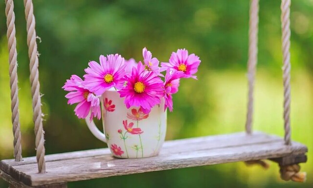 آرامش بهاری در سیزده‌به‌در هرمزگان با شرایط پایدار جوی و دریایی