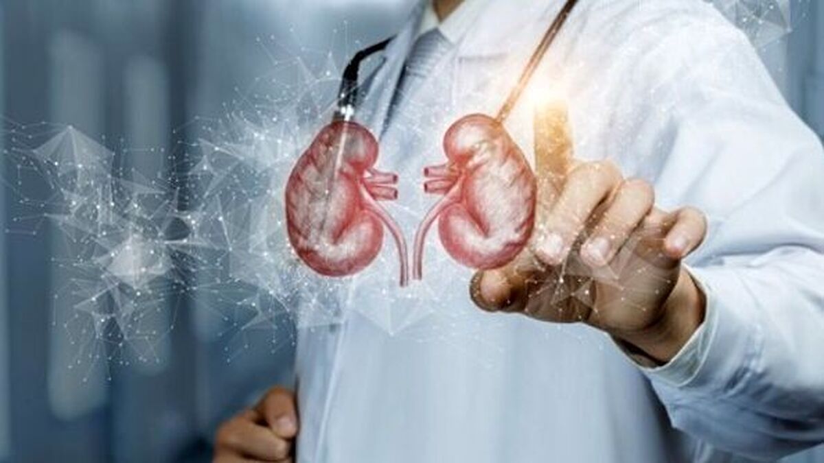 تغذیه مناسب سلامت کلیه‌ها را تضمین میکند!