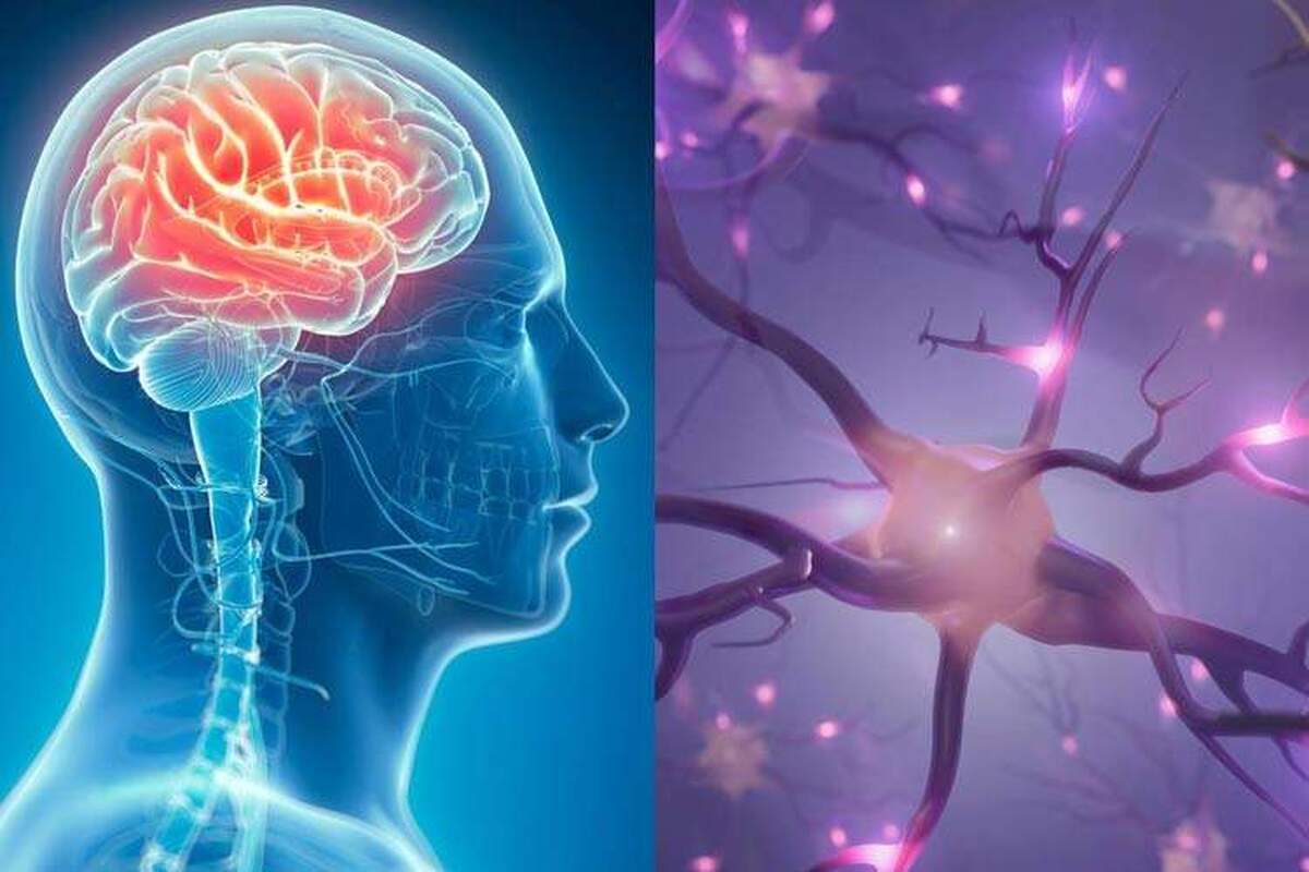 افراد مسن مجرد در برابر زوال عقل ایمن هستند!