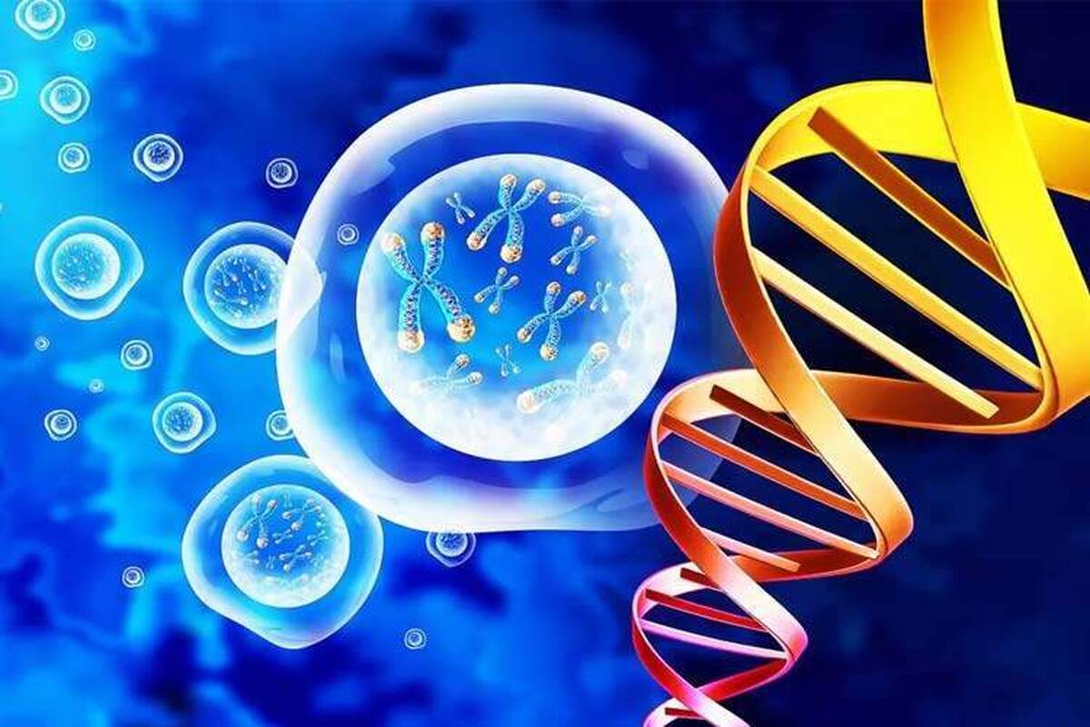 روند پیری بدن انسان چگونه است؟