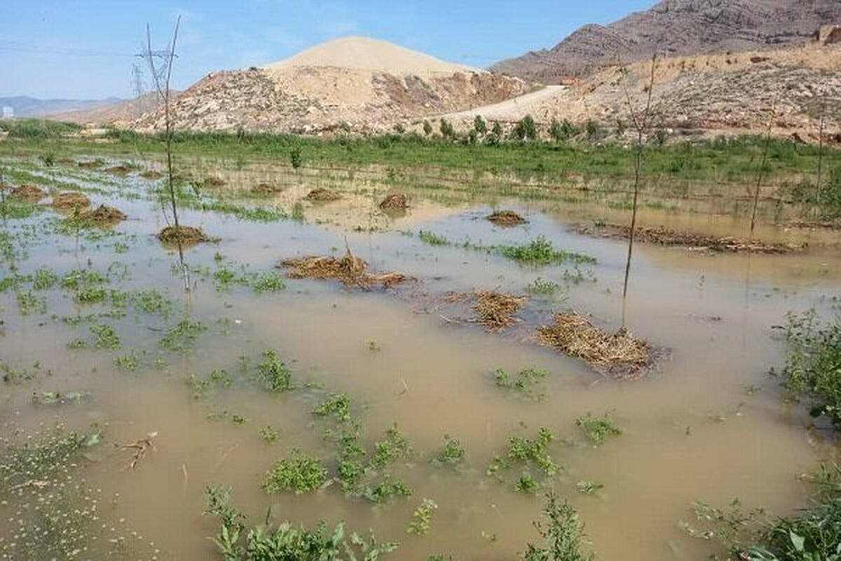 هشدار وقوع سیلاب در حاشیه رودخانه‌های کردستان