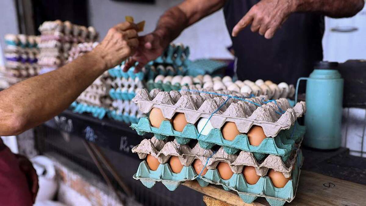 ترامپ اتهامات علیه خود در مورد افزایش قیمت تخم مرغ را رد می‌کند