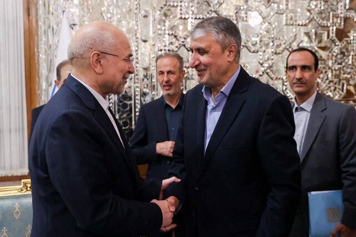 دیدار نوروزی معاون رییس‌جمهور با رییس مجلس شورای اسلامی