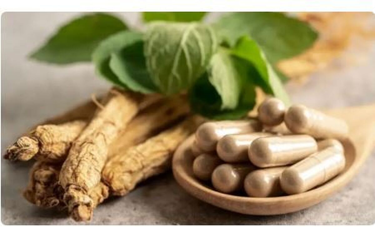 رقیب سرسخت و خفن چای سبز پیدا شد