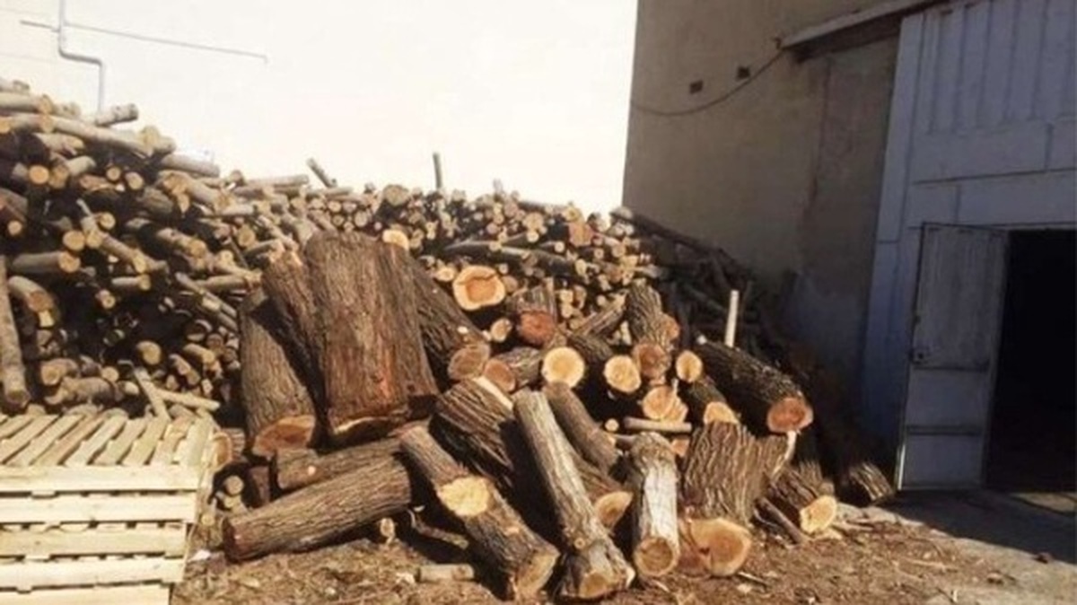 کشف و توقیف سه کارگاه تولید ذغال و چیپس چوب در گنبدکاووس