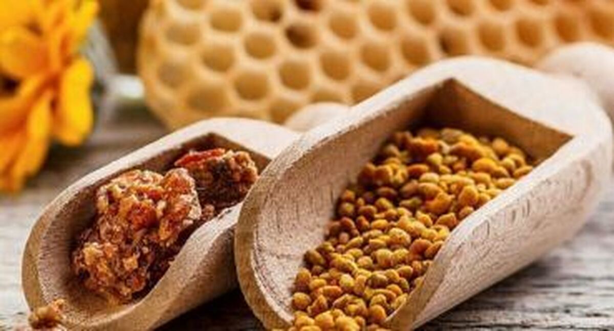 توسعه مکمل‌های انسانی و دامی بر پایه خواص مخمر‌ها