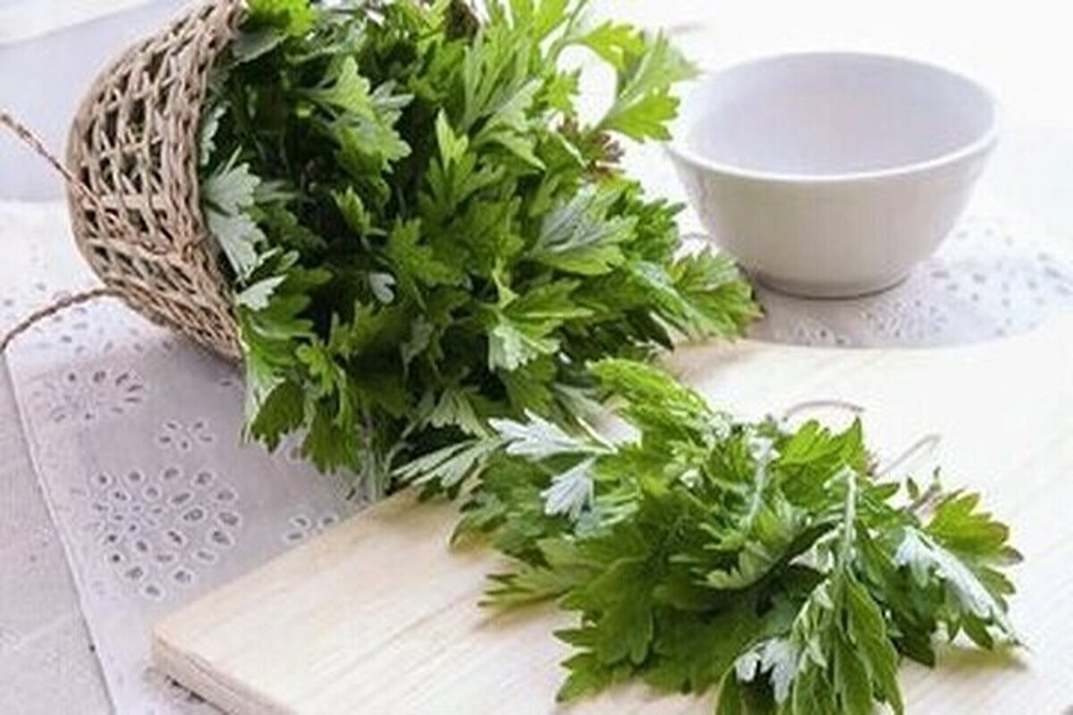 گیاهان دارویی مناسب برای درمان سرطان روده بزرگ!