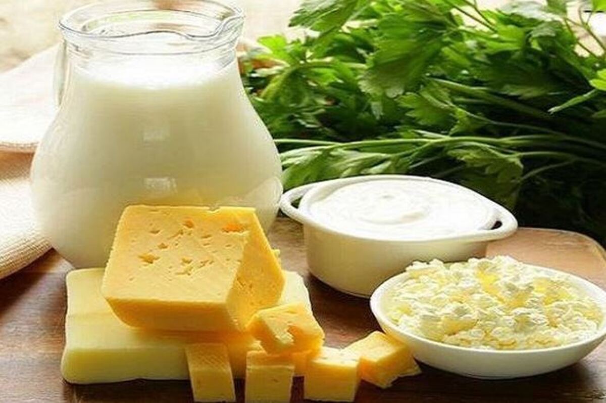 راه‌های افزایش پروبیوتیک بدن