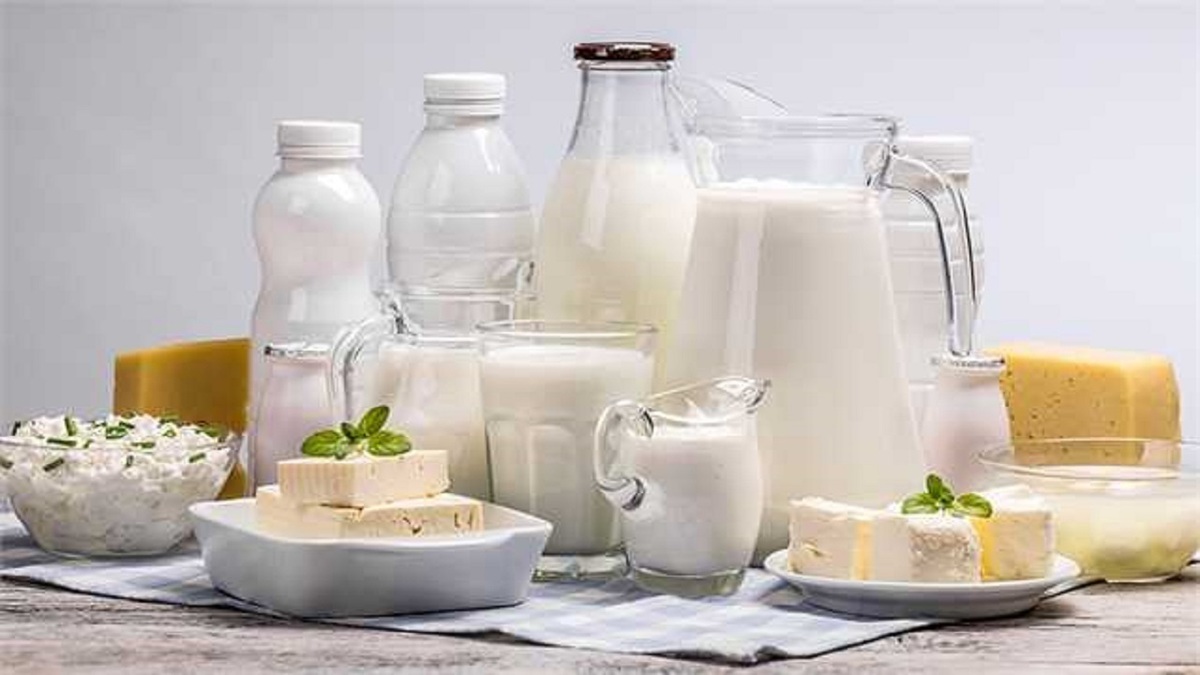 مصوبه‌ای برای افزایش قیمت لبنیات نداشتیم