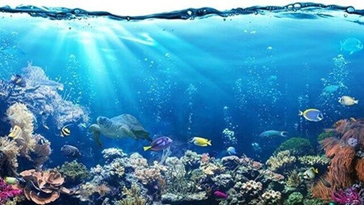 شناسایی هورمون جنسی جدیدی به نام سکرتونورین!