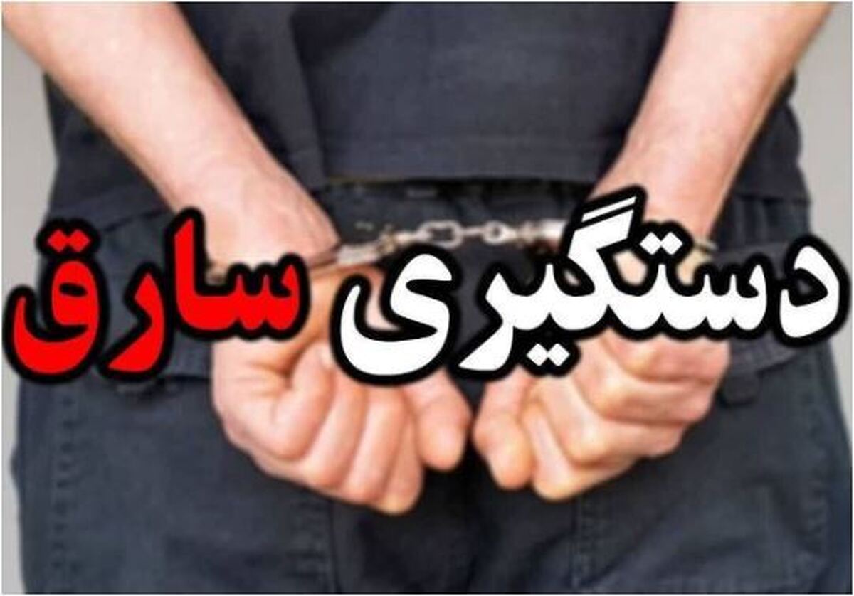 سارق حرفه‌ای باغات و اماکن خصوصی در این استان شناسایی و دستگیر شد