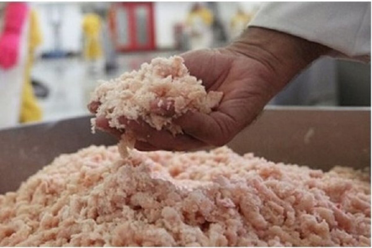 کشف و معدوم سازی ۲.۵ تن خمیر مرغ غیربهداشتی در قم