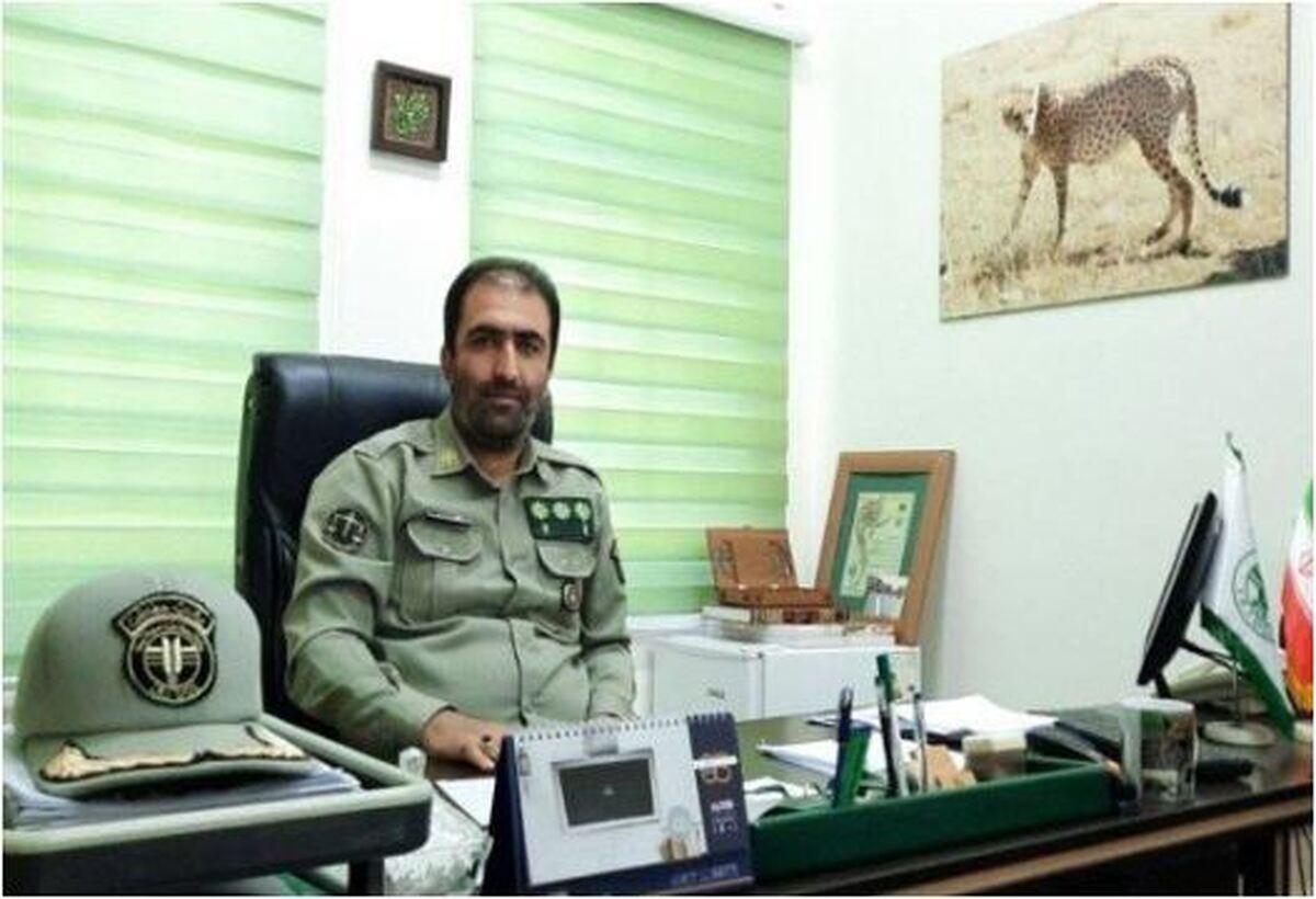 برداشت و چیدن گیاهان خاص دارویی در دماوند ممنوع شد