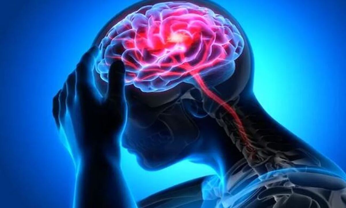مغز برای تامین انرژی خودش را می‌خورد؟