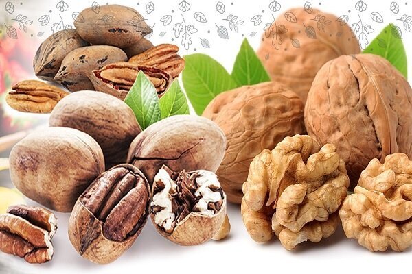 سلامت و طراوت بهاری با رژیم غذایی هوشمندانه