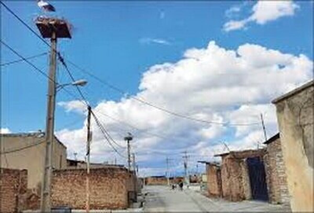 طرح هادی در ۵۴ درصد روستا‌های پلدشت اجرا شده است