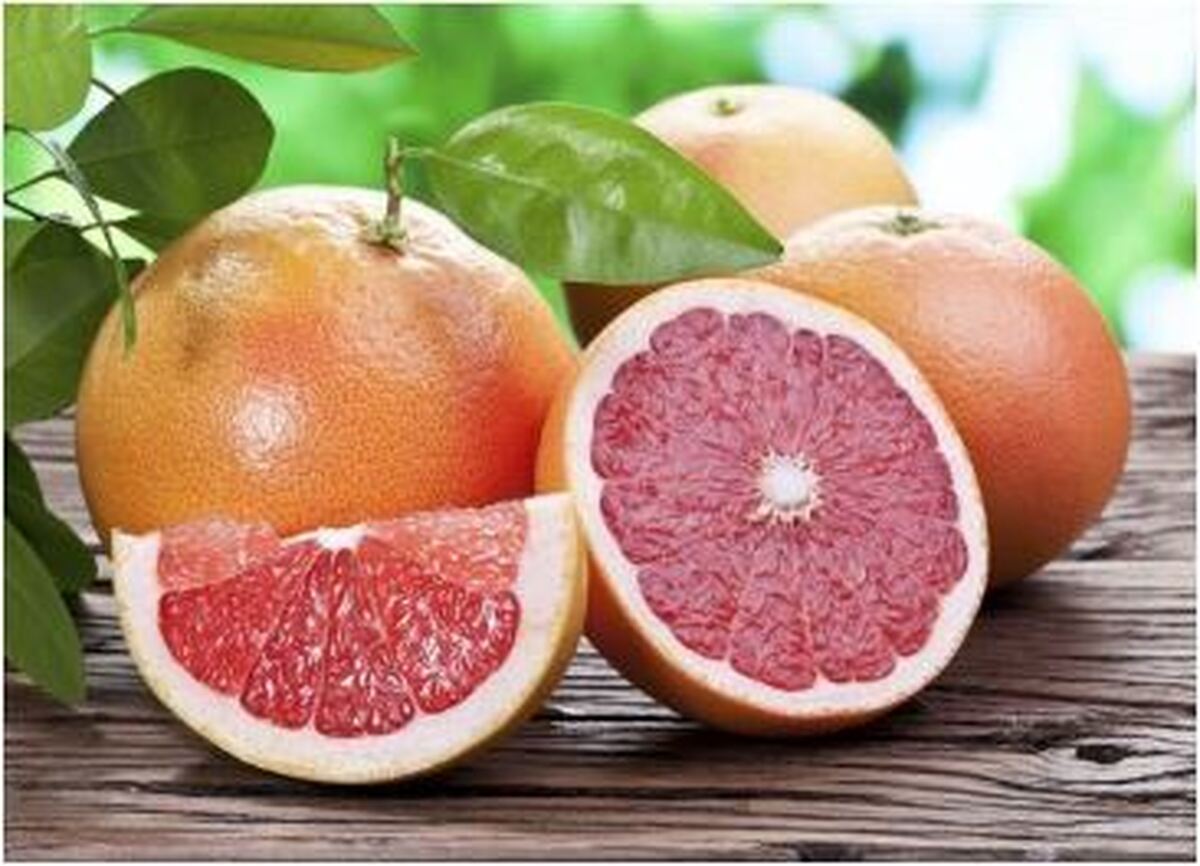 برای چربی سوزی بیشتر این میوه‌ها را در رژیم غذایی تان قرار دهید