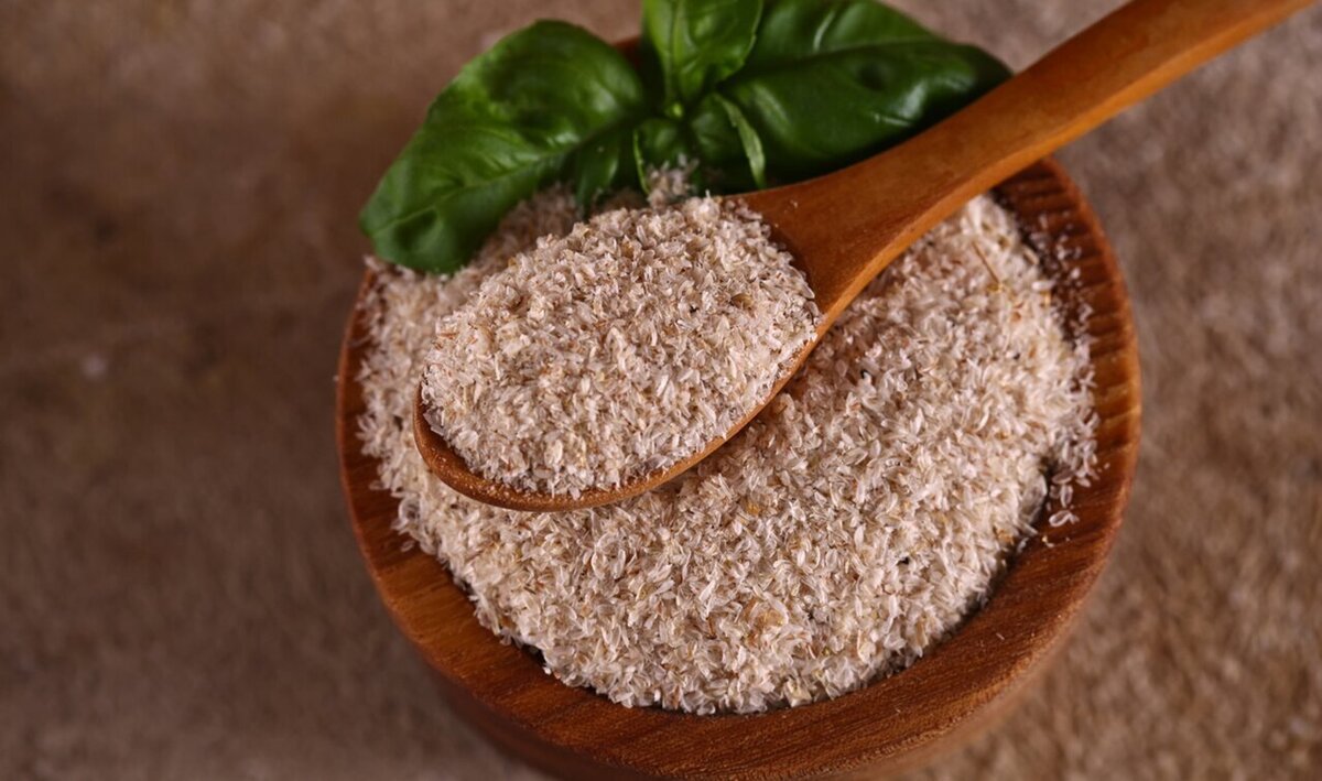 گیاه اسفرزه چیست و چه طبعی دارد؟