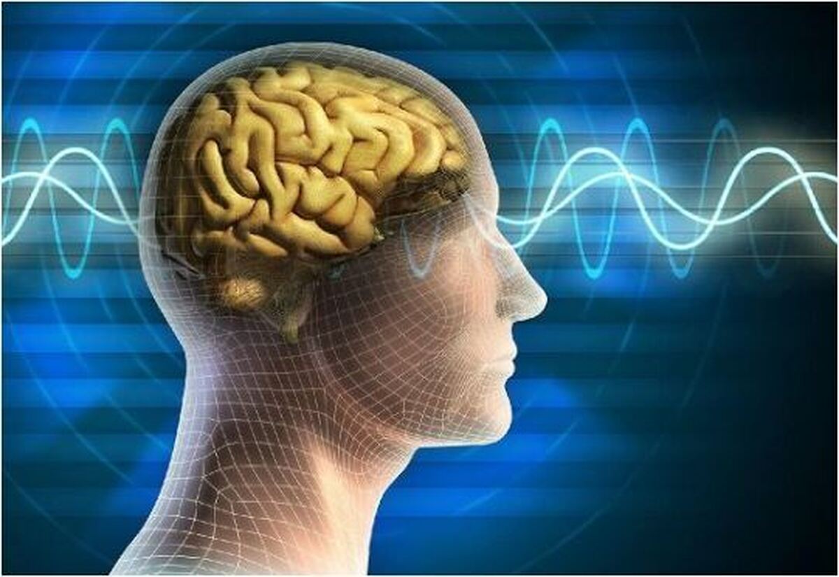 این قسمت مغز، مسئول حل مشکلات است