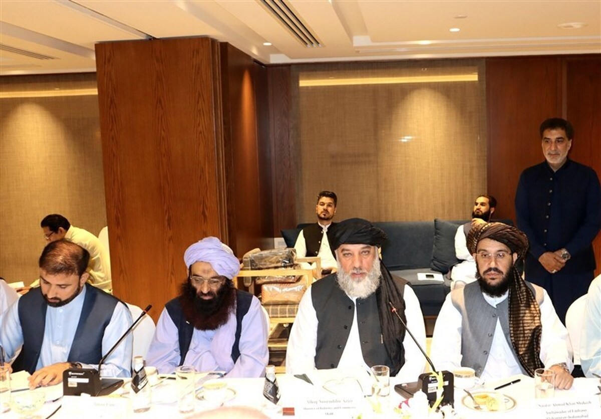 طالبان در پاکستان: پناهجویان آگاهانه و داوطلبانه بازگردند
