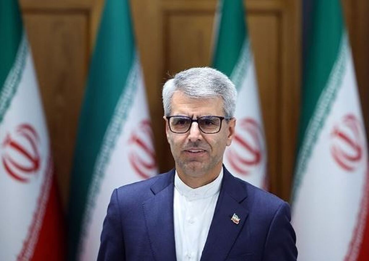 بقائی: رابطه ایران و روسیه بر منافع مشترک دو ملت استوار است