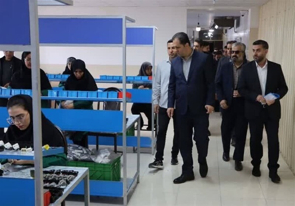 نقش صنایع و تولیدات رزن در توسعه اقتصادی همدان