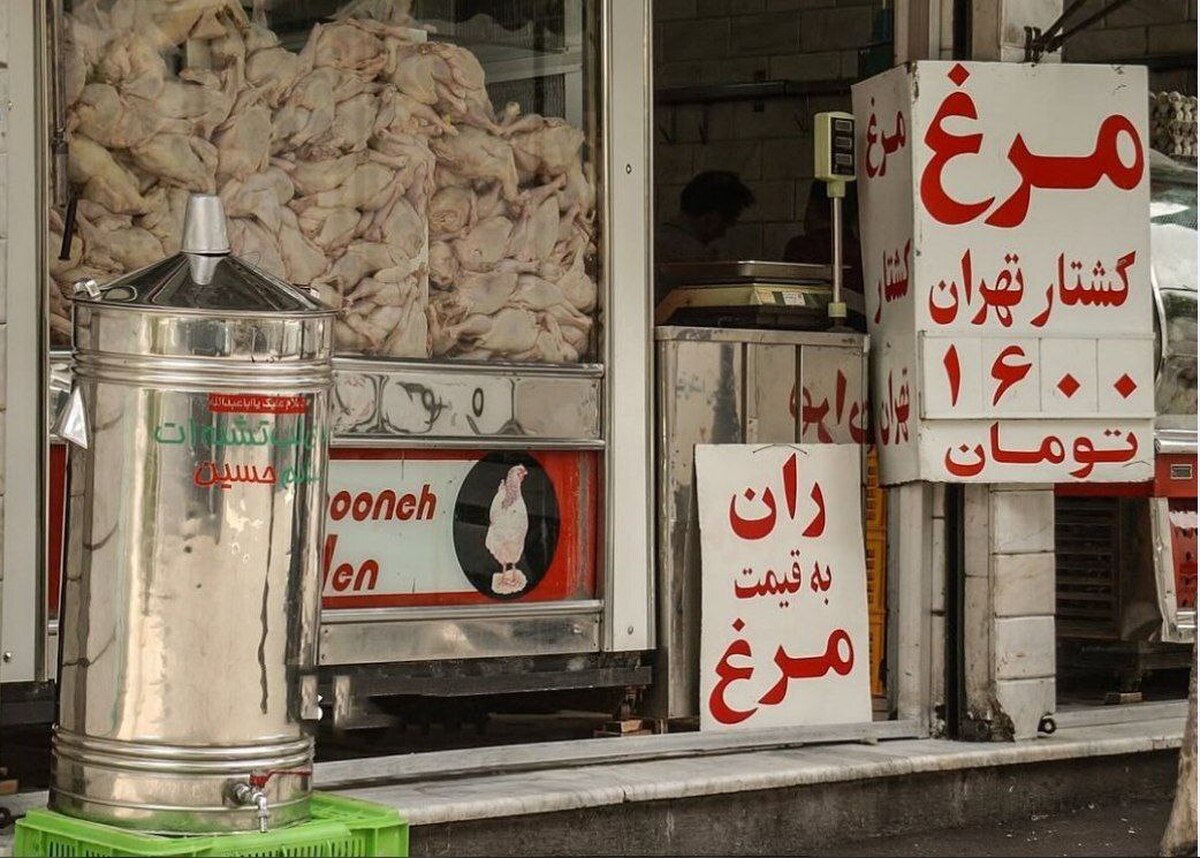 تصویر غم انگیز از قیمت مرغ در ۱۱ سال پیش پر بازدید شد