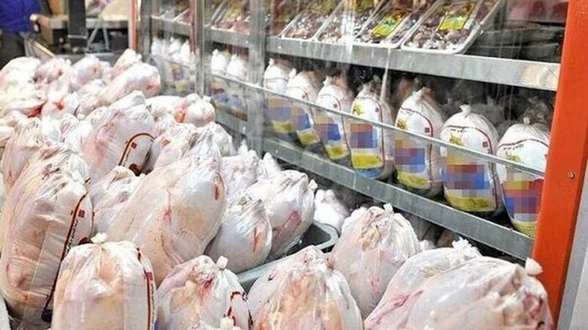 ۱۰۰ تن مرغ منجمد در بوشهر توزیع می‌شود