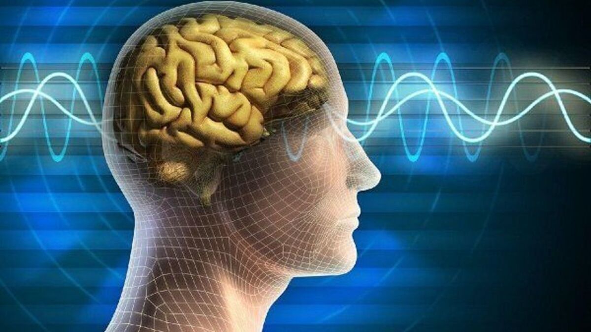 کدام قسمت مغز مرتبط با به خاطر سپردن کلمات است؟