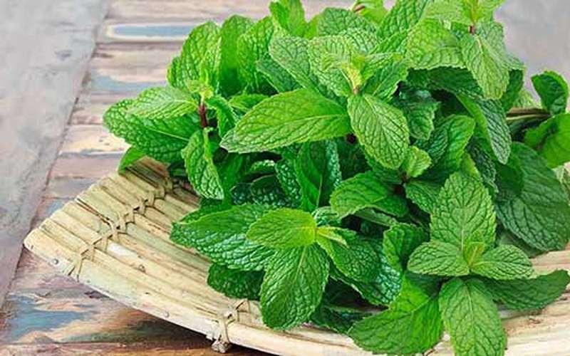 کنترل چربی پوست با تونر خانگی/طرز تهیه+ مواد لازم