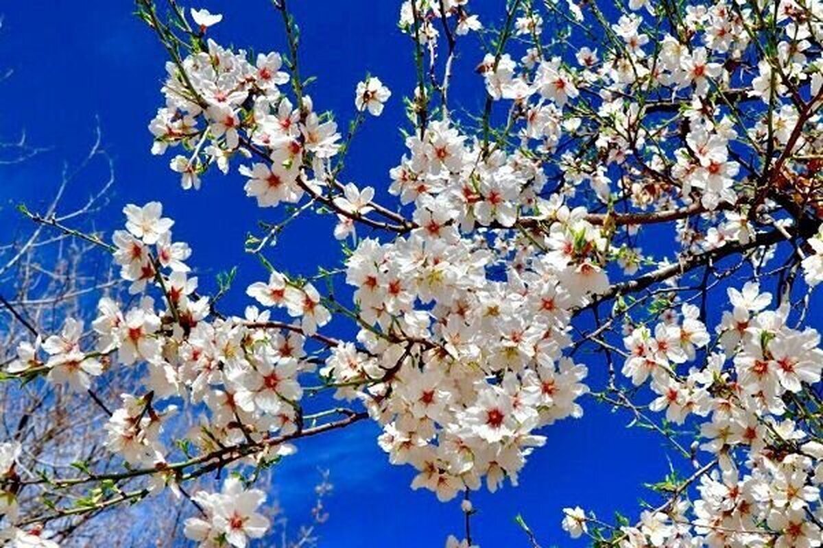 هوای همدان گرمتر می‌شود