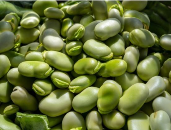 روش‌های صحیح پوست‌گیری و خشک کردن باقلا برای ذخیره کردن