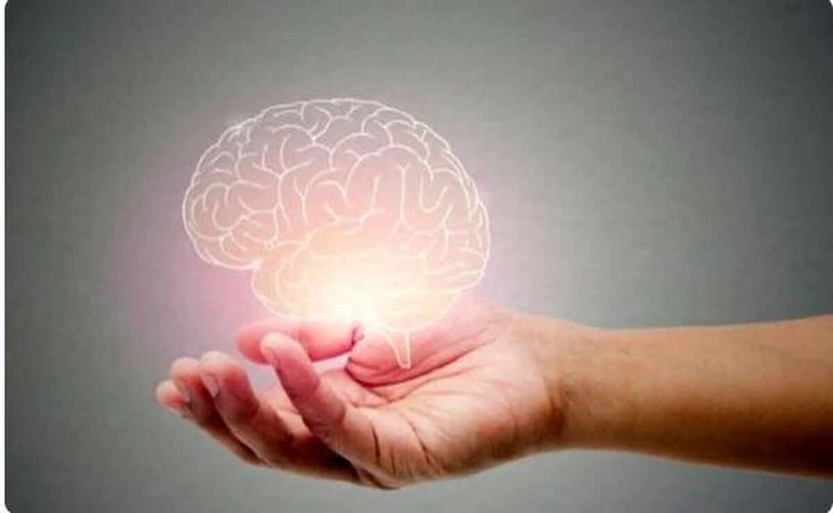 پیری مغز چگونه بوجود می‌آید؟