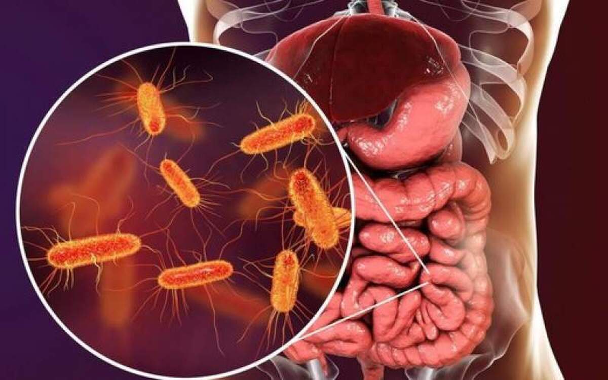 افزایش باکتری‌های مفید روده چگونه ممکن است؟