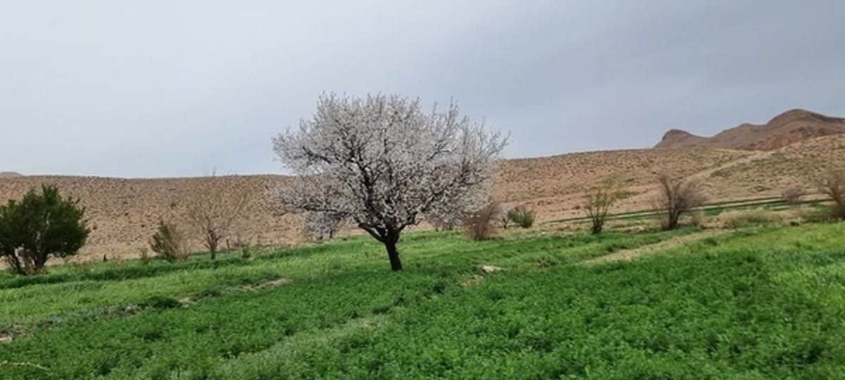 هوای پاک خراسان جنوبی