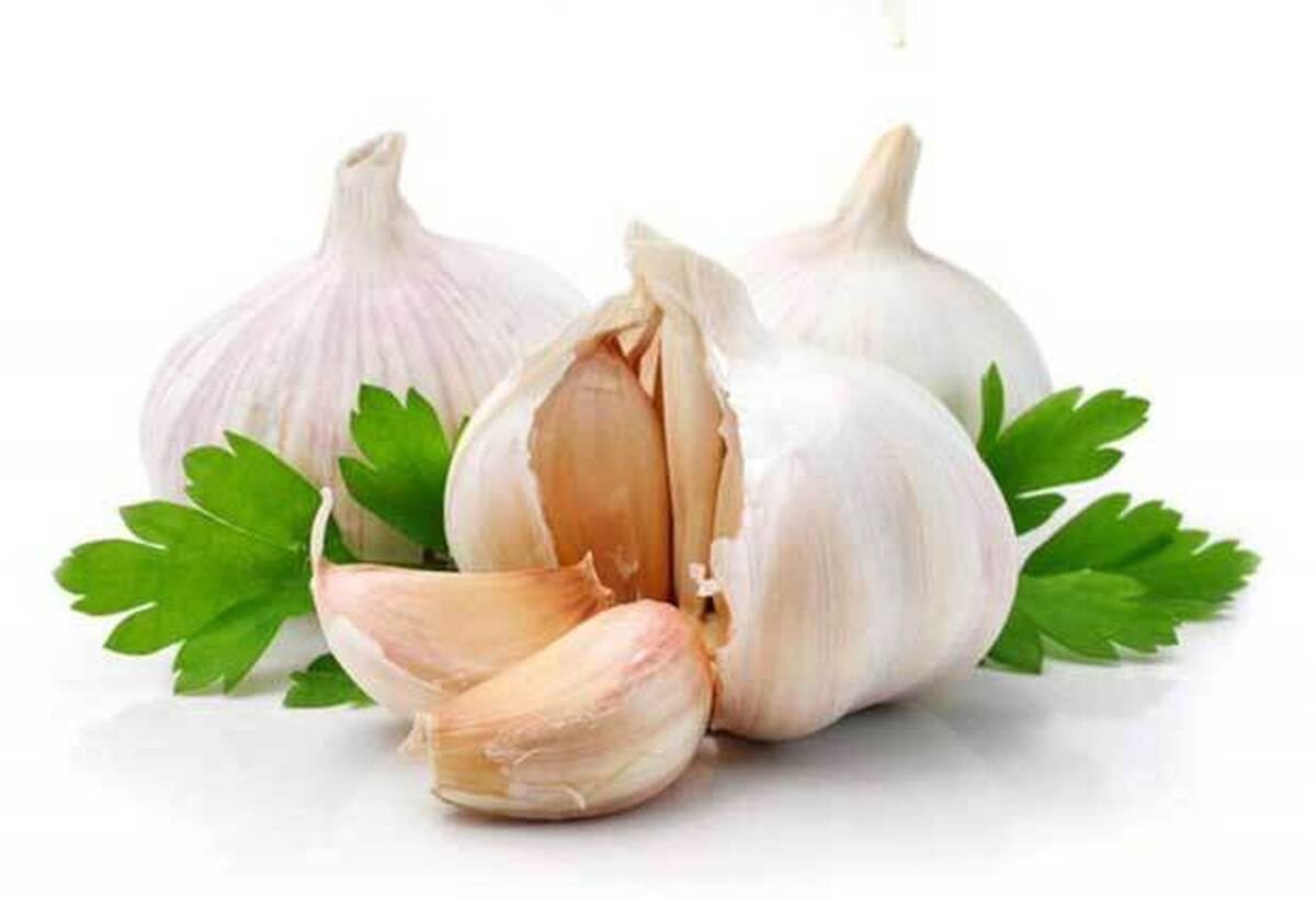 طرز تهیه سیرداغ بدون نیاز به روغن