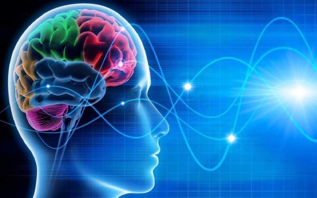 چرا بعد از مواد غذایی چرب احساس ناراحتی میکنیم؟