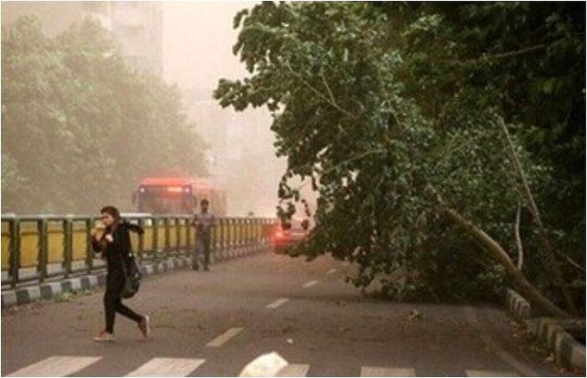 اطلاعیه جدید سازمان هواشناسی در مورد وضعیت آب و هوای تهران