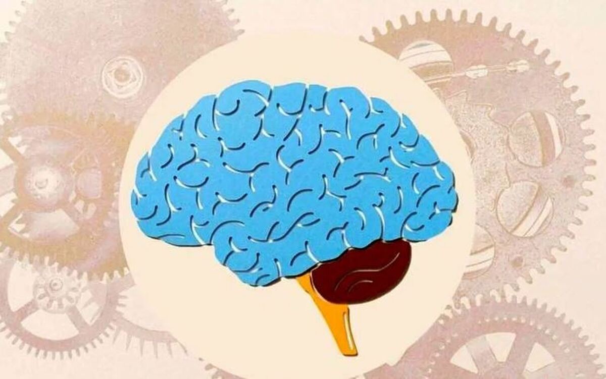 برای بهبود عملکرد حافظه این ویتامین‌ها را مصرف کنید