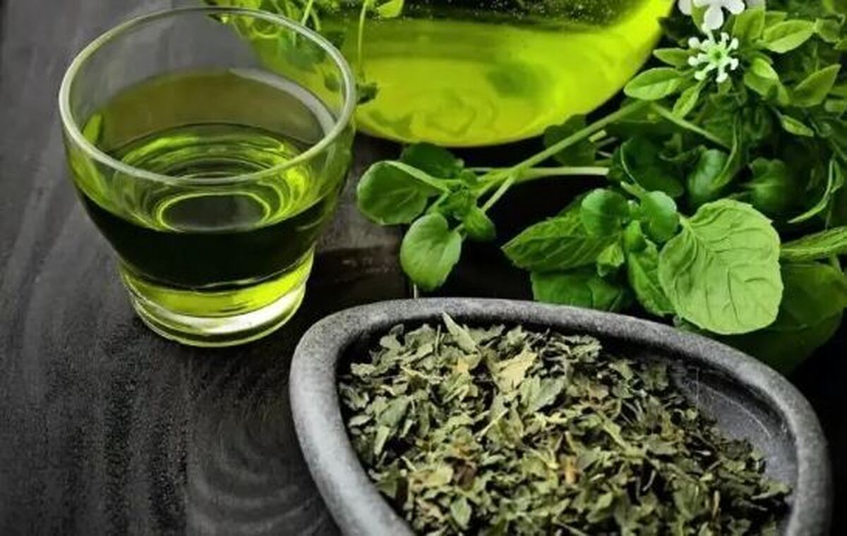 کاهش خطر ابتلا به سرطان‌های مرگبار و سلامت قلب و فشارخون با مصرف چای سبز