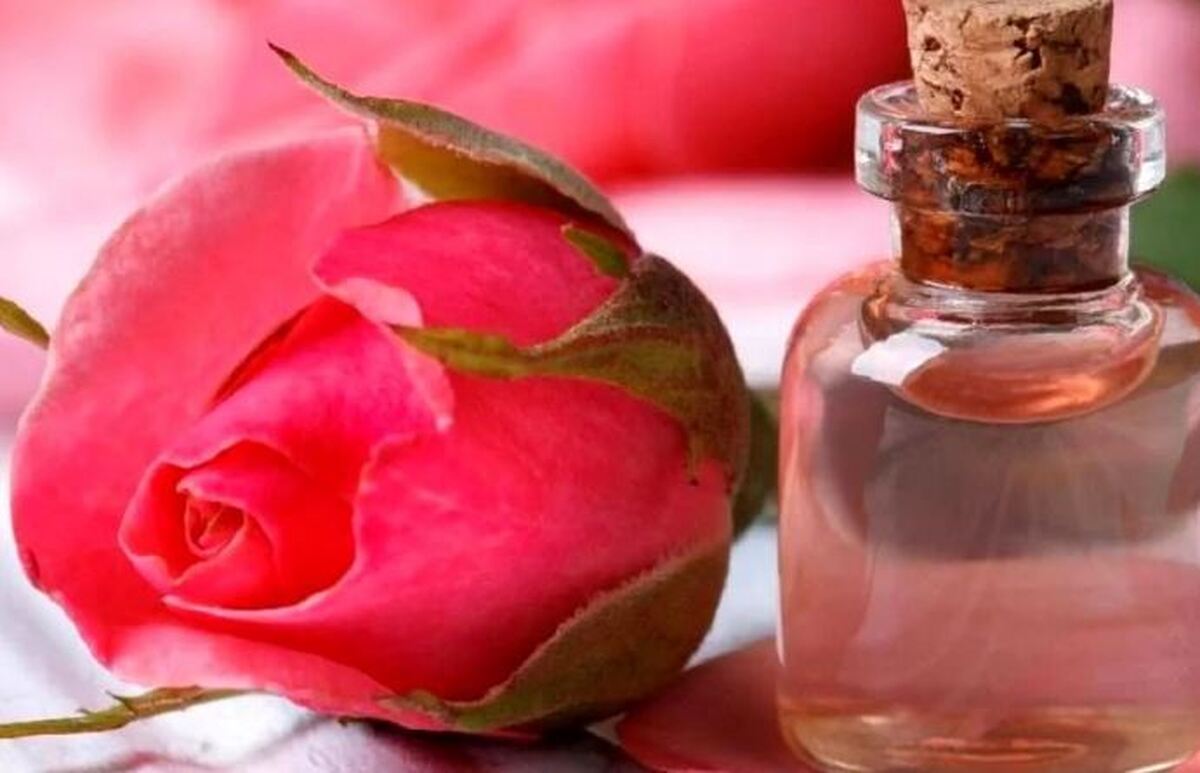 گلاب دوآتیشه و خوش عطر خانگی را با این روش و ترفند درست کنید