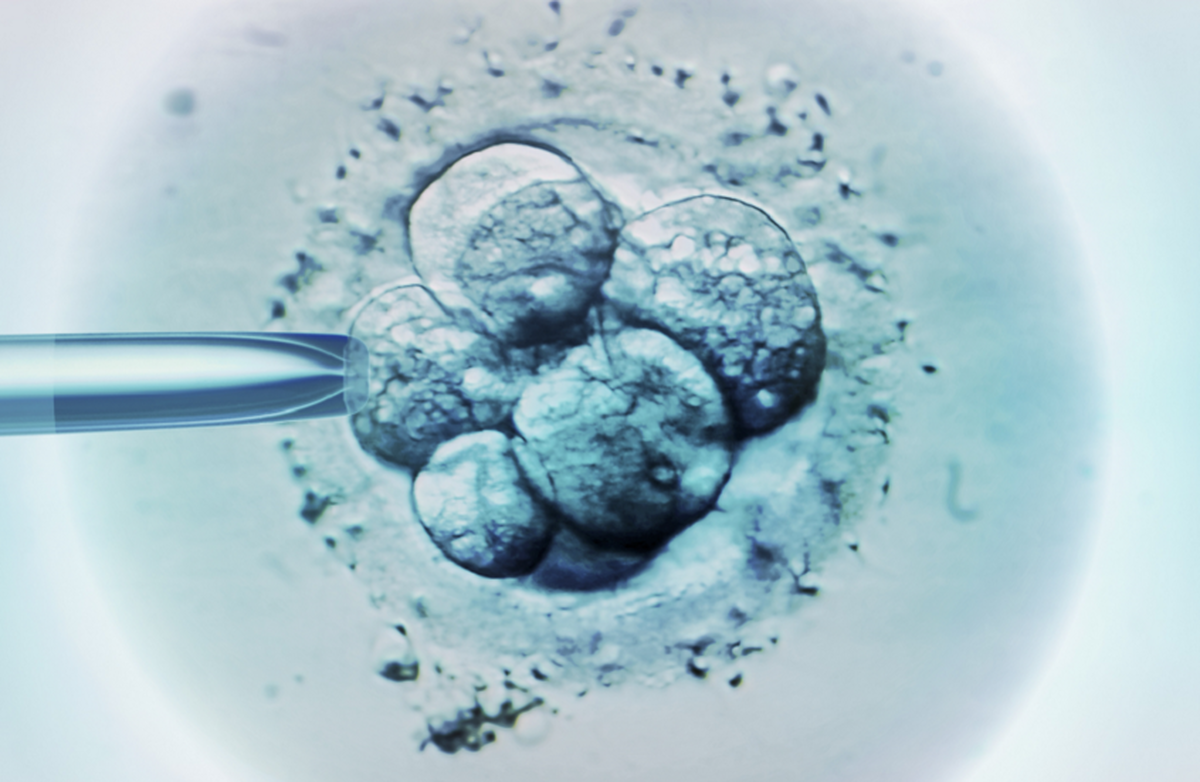 فناوری جدید عمر اسپرم را افزایش می‌دهد و باعث موفقیت IVF می‌شود