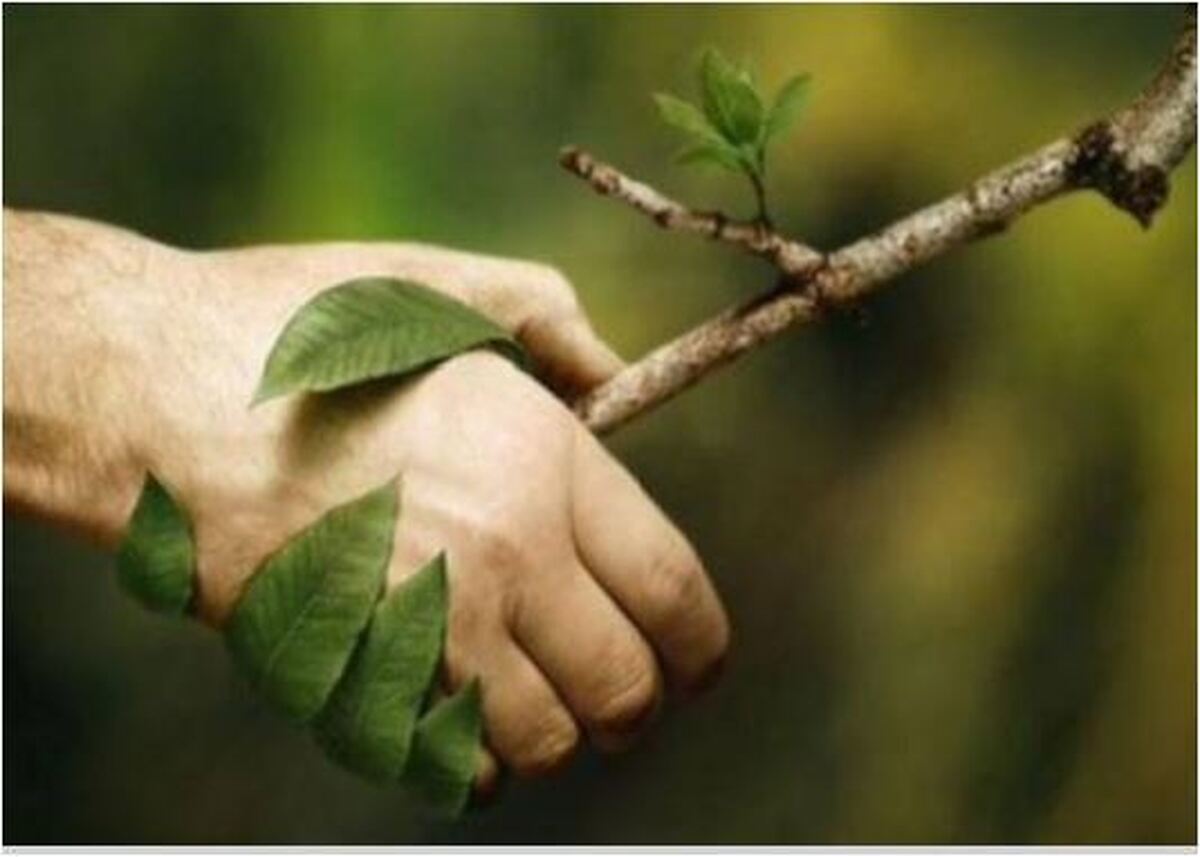 تعلیم آموزه‌های محیط زیستی برای کارکنان دولت