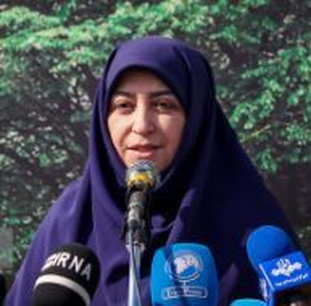 انصاری: برای حفاظت از محیط زیست همه تلاش خود را به کار می‌گیریم