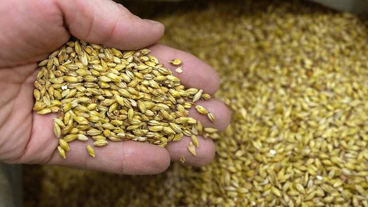 پسکوف از مذاکرات دشوار بین روسیه و آمریکا در مورد توافق غلات خبر داد
