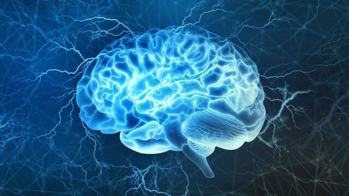 بررسی روند مرگ در مغز!